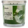 Sonoma Goods For Life® Sage Mint & Eucalyptus 14-oz. Candle Jar