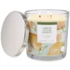Sonoma Goods For Life® Lemon Sugar Sorbet 14-oz. Candle Jar