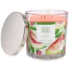 Sonoma Goods For Life® Guava Berry Spritz 14-oz. Candle Jar